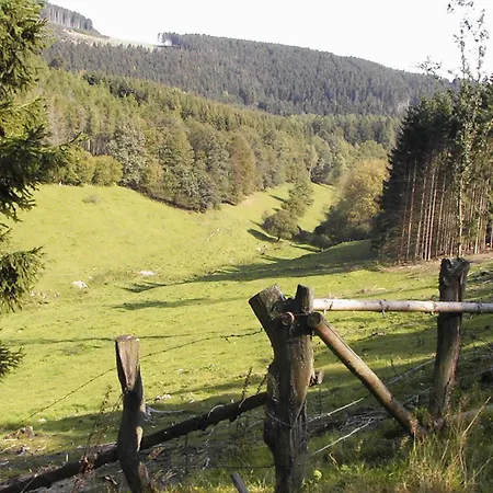 Sonneneck-2