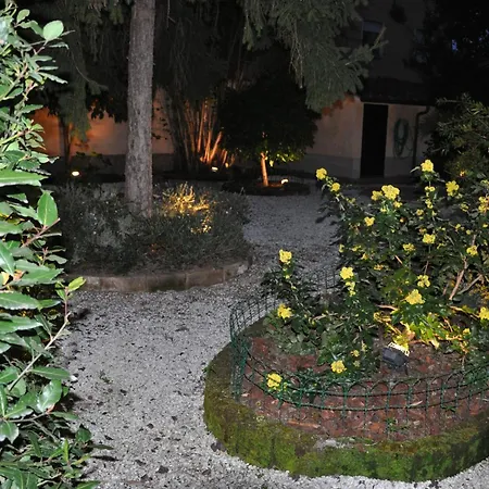 Il Mattino Ha L'Oro In Bocca-2