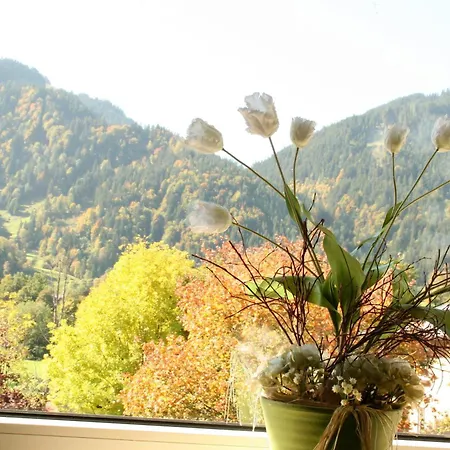 Hotel Garni Entstrasser-3