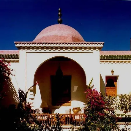 Riad Noga-2