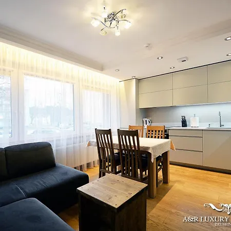 Luxury Apartment Vytauto 16-3