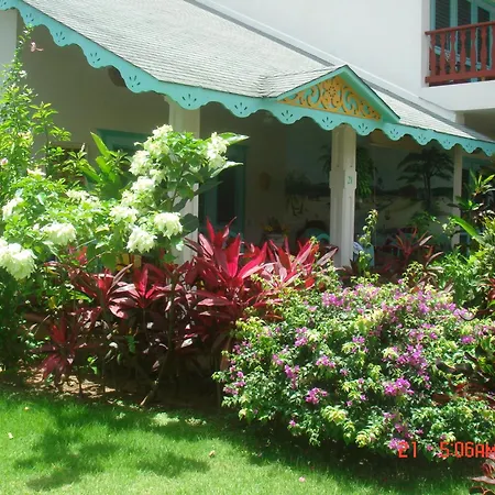 Hotel Playa Colibri-2