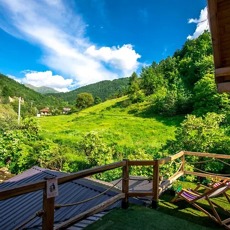 Sum Apartmani - Stara Planina-3