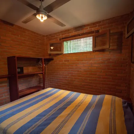 2 Bedroom Apartment In Lush Garden, 3 Blocks From Beach And Center Of San Juan-2