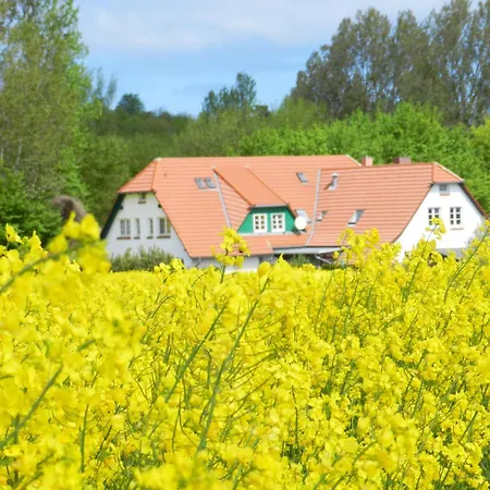 Landhaus Alt Reddevitz-2