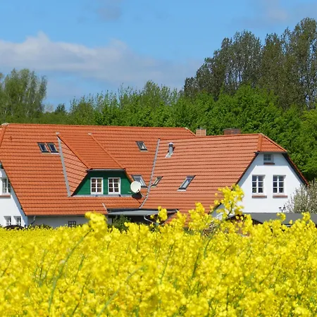 Landhaus Alt Reddevitz-3