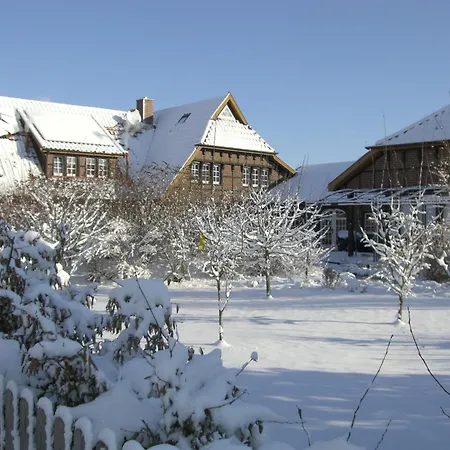 The Cosy Home-3