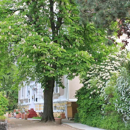 Hotel Waldfriede-2