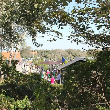 De Zilvermeeuw-3