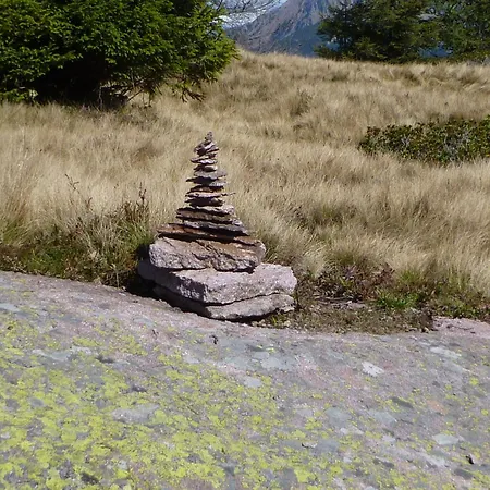 Reiterhof Edelweiss-2