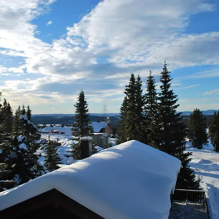Nordseter Fjellpark, Hyttegrend-2