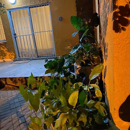 Alvin 'S House-2