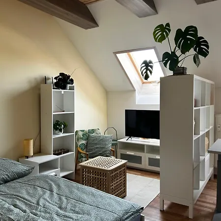 Utulny Apartman V Centre Kezmarku-3