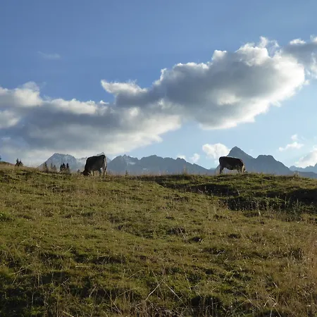Ferienwohnungen LANG - Ski&Mountain Apartments-3