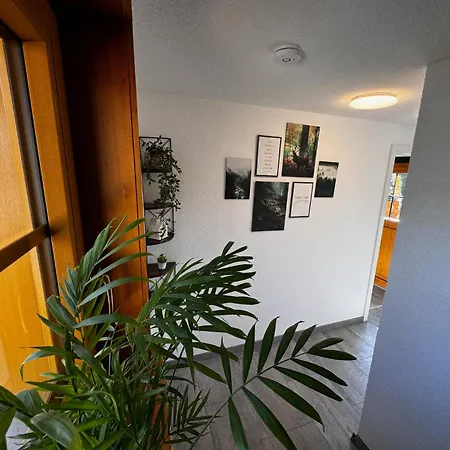 Hexenhaus-3