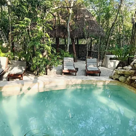 Agua & Selva Luxury Jungle Loft-3