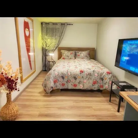 Lovely One Bedroom Apartment-3