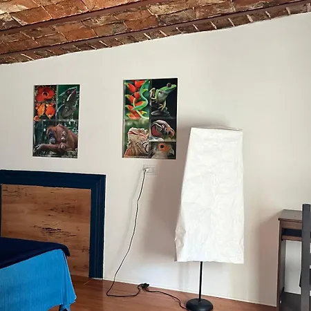 Casa Azul-2