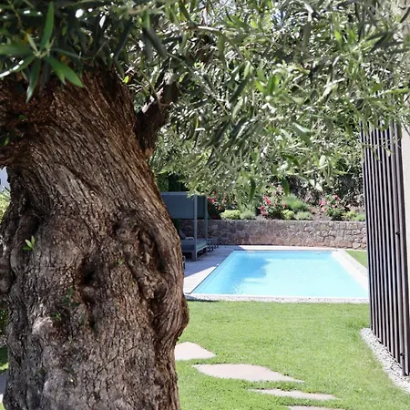 Appius Design Suites B&B - Adults Only-3