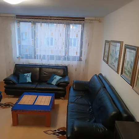 Centar Sa With Free Garage Parking-3