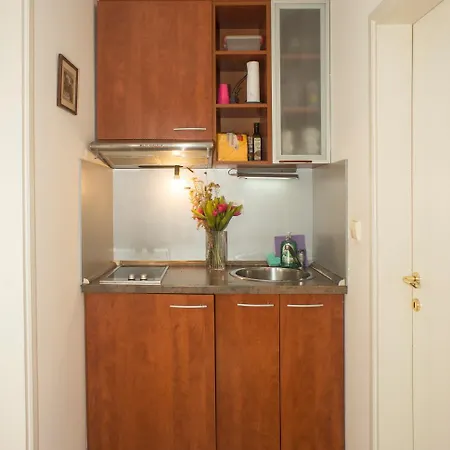 "Knez " Belgrade City Center Apartment-3