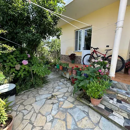 Flower'S Home-2