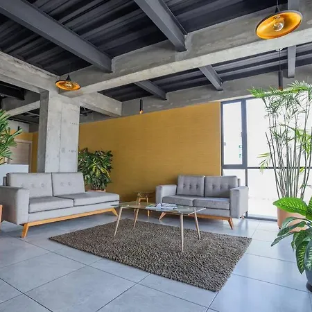Alba Gallery Suite-3
