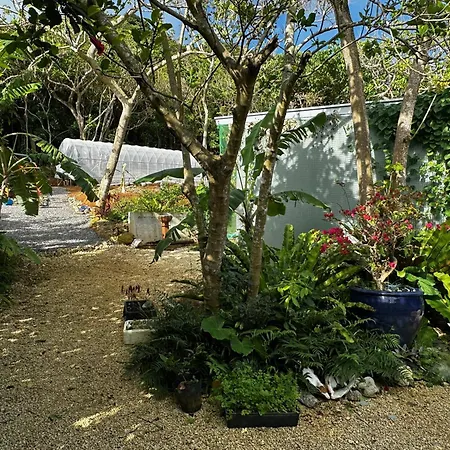 Green Rabbit Studio-3
