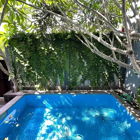 Villa Beranda With A Pool By Balibenefit-3