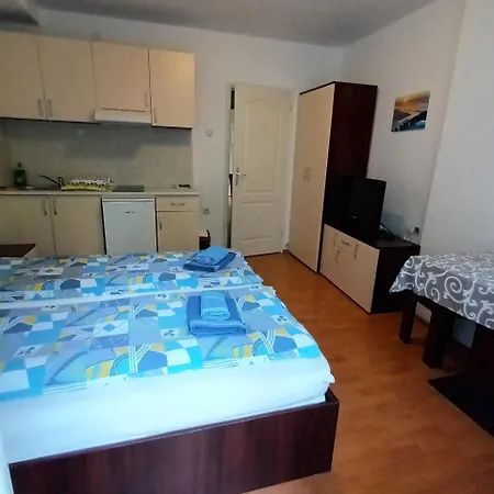 Maja V Apartmani Sokobanja-3
