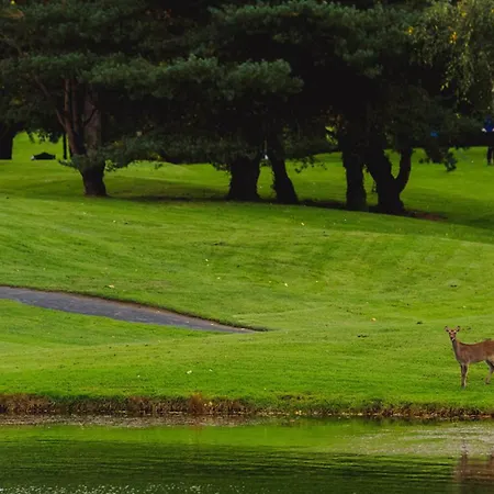 Waterford Castle Hotel Lodges-3
