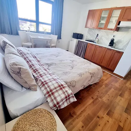 Studio Vihren 11,Bansko-2