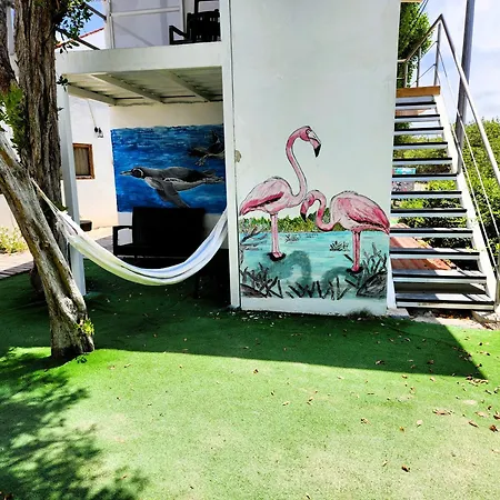 Hotel La Jungla-3