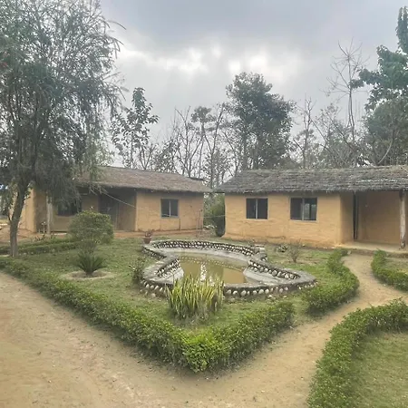 Bardia Dolphin Home-3