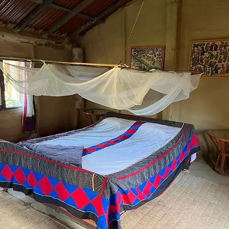 Bardia Dolphin Home-2