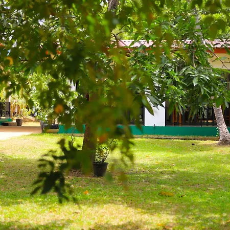 The Royal Garden Sigiriya, Dambulla-3