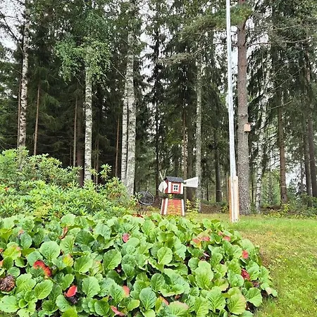 House With2 Bedroom, Bath, Sauna, And Big Yard-2