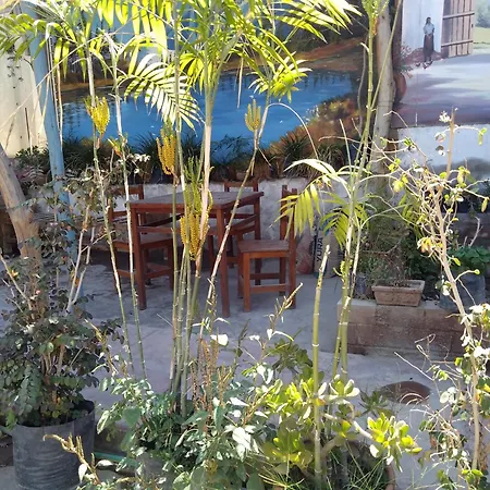 Departamento Con Cochera Gratuita Dentro De Instalaciones 8P Tierra Del Sol Eterno Ica Centro-2