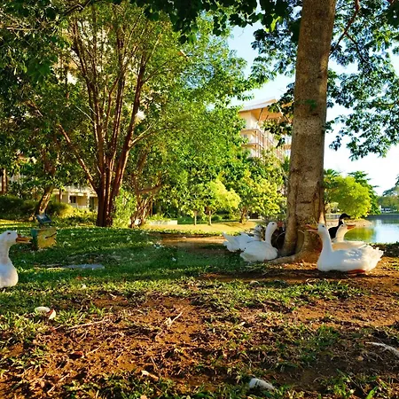 Pico De Loro Beach Walking Distance Miranda 2 Bedroom Units By See Condominiums-3
