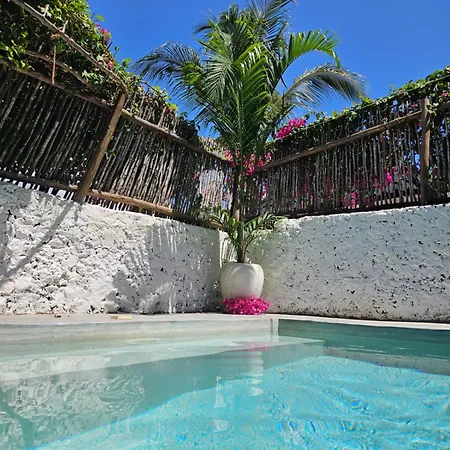Mbaliparadise Guest Lodge Pemba-2