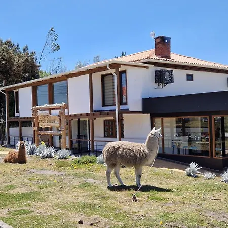La Maison D'Urbina-2