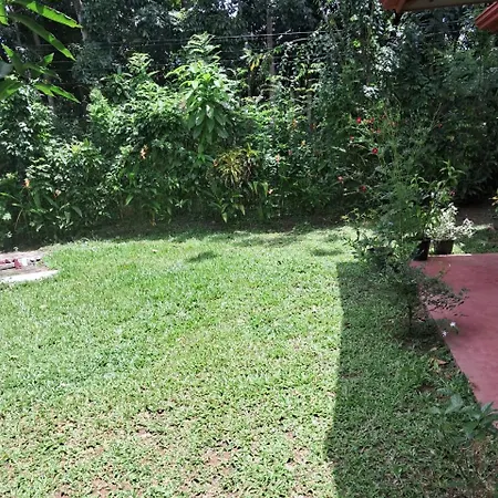 Dg Villa-3