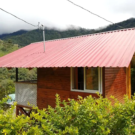 Mario'S Lodge Providencia-3