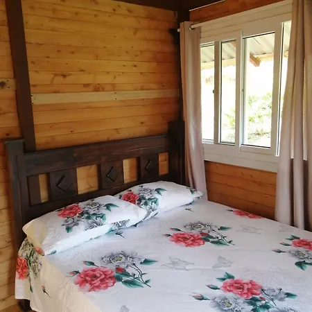 Mario'S Lodge Providencia-2