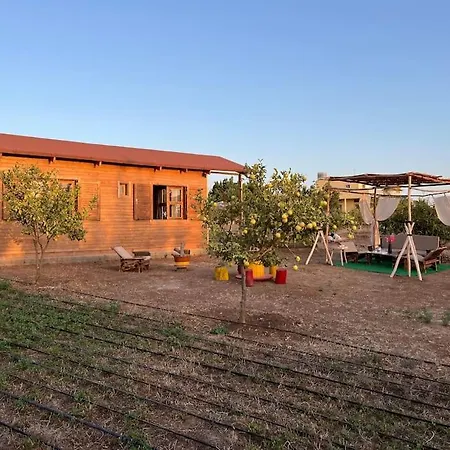 Countryside'S Tiny House-3