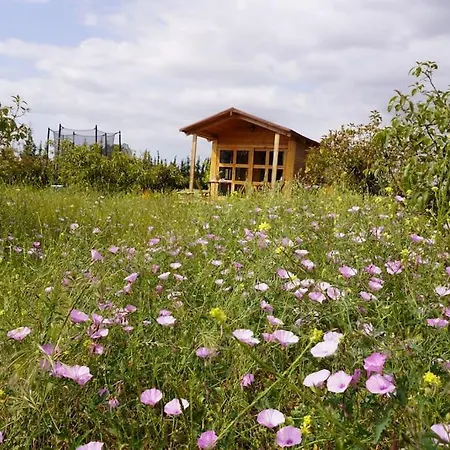 Countryside'S Tiny House-2