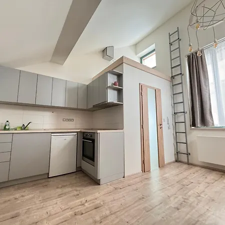 Radbuza Apartment-2