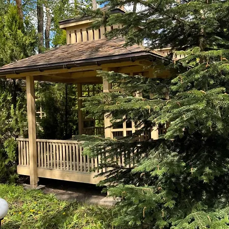 Tysha Forest Club-3