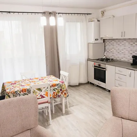 City Oasis Sibiu-2