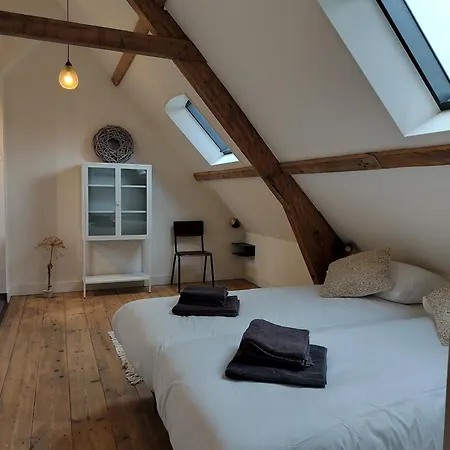 B&B 'Hof Baaiweg' Met Barrelsauna-2
